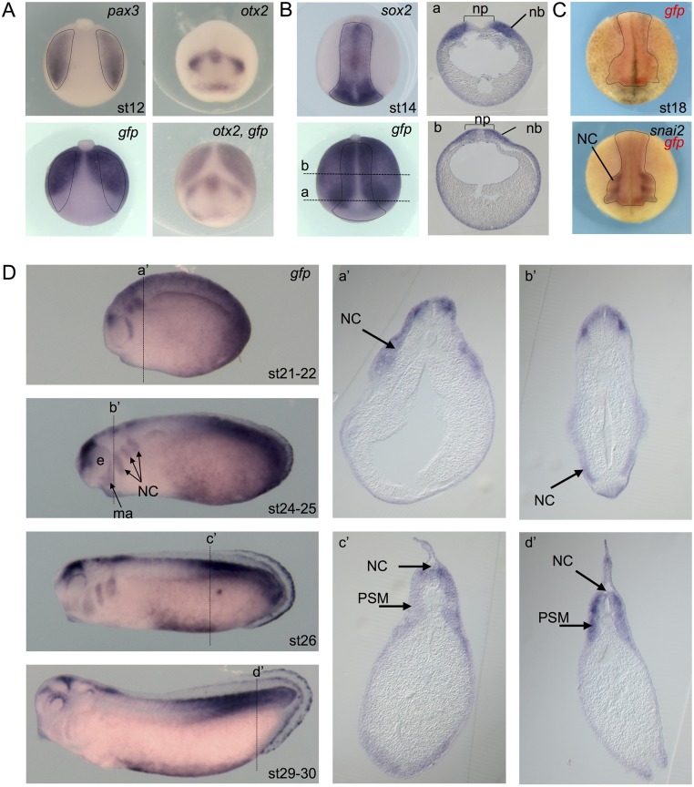 Fig 6