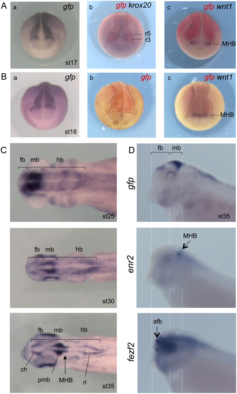 Fig 5