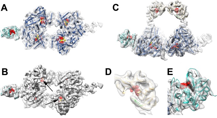 Fig 3