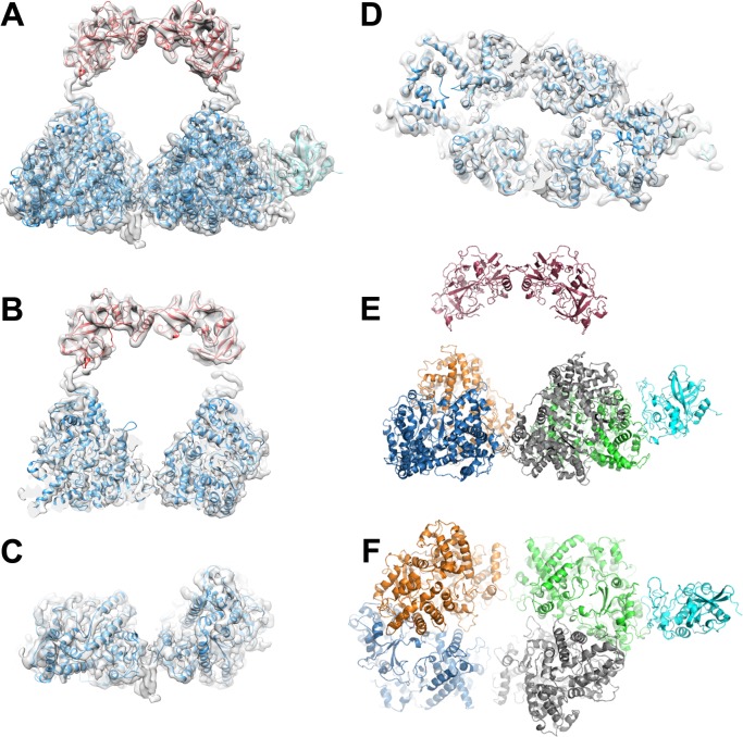 Fig 2