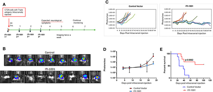 Figure 2