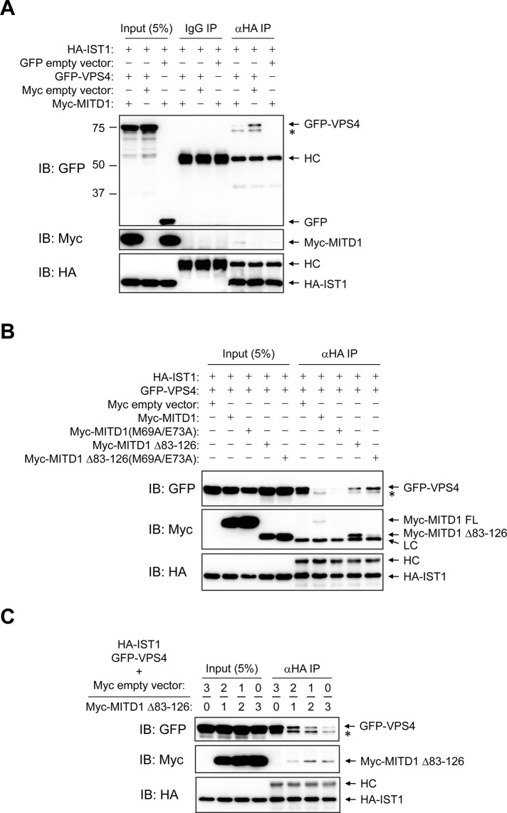 FIGURE 10: