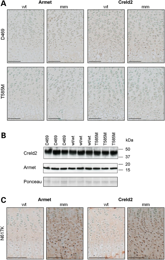 Figure 2.