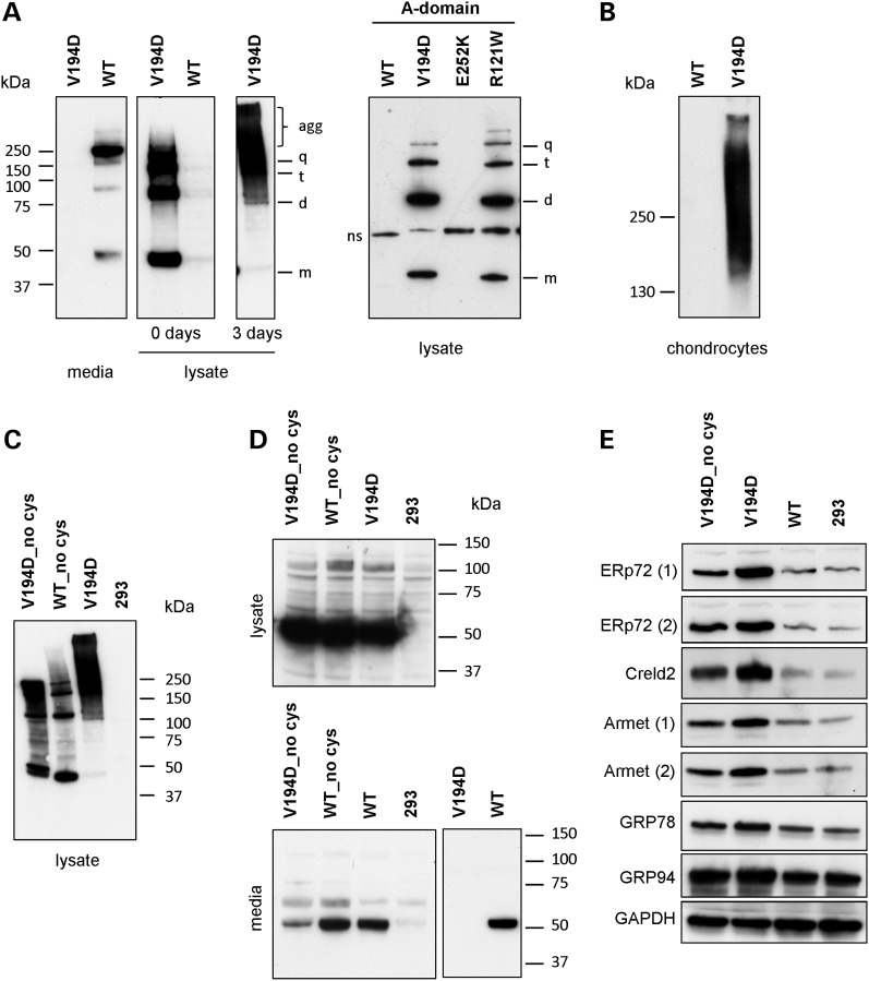 Figure 6.