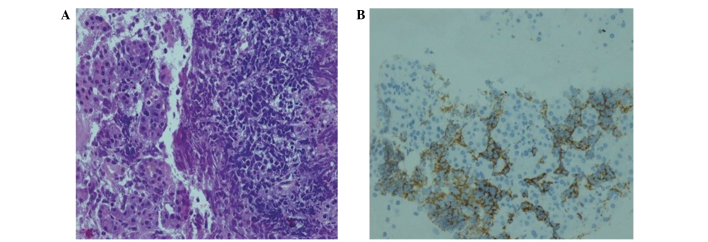 Figure 3.