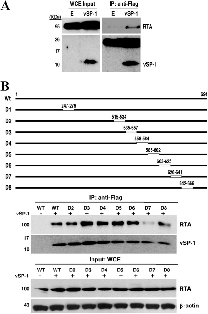 Fig 5