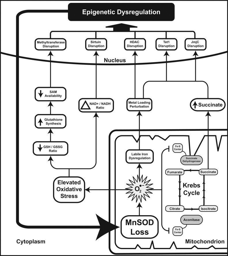 FIG. 7.