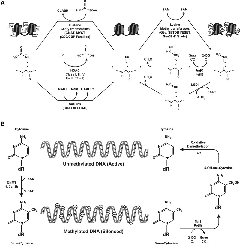 FIG. 6.