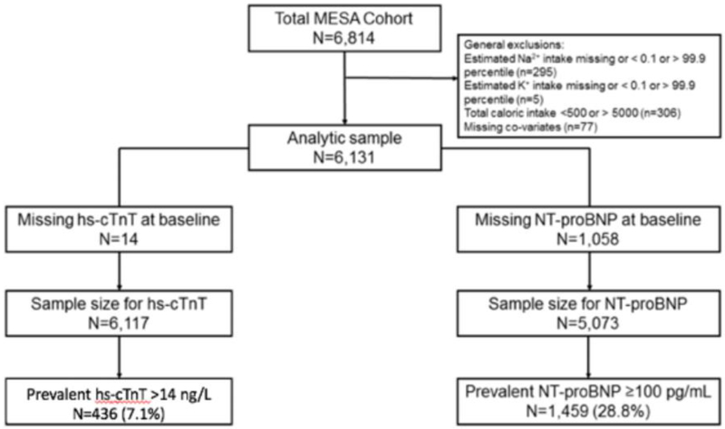 Figure 1: