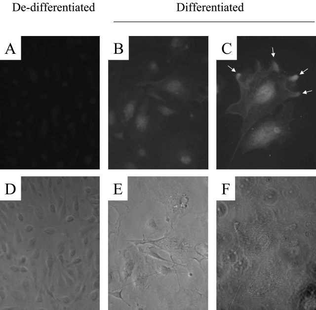 Figure 2-4249