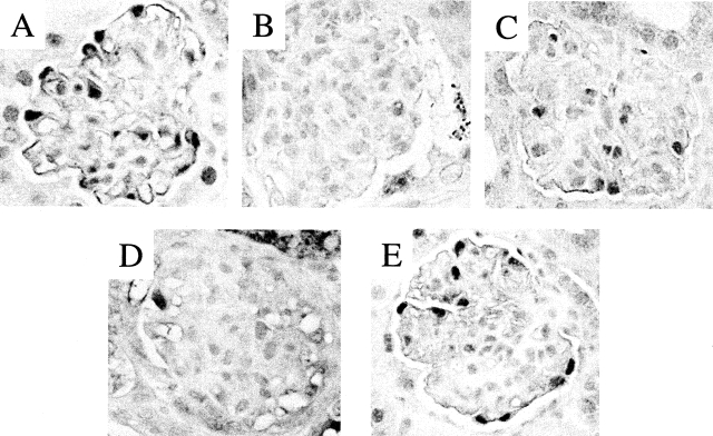 Figure 4-4249