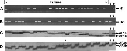 Figure 2.—