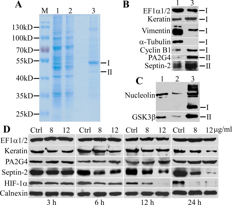 Fig 9