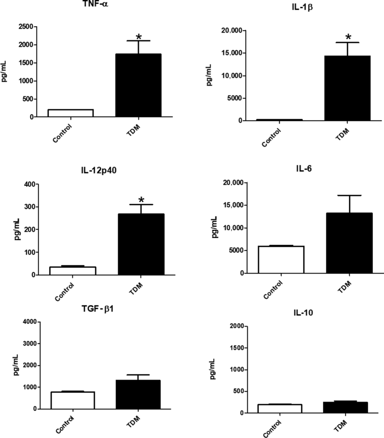 Figure 2