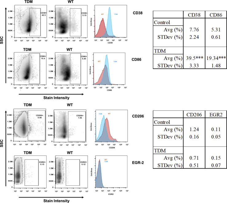 Figure 3