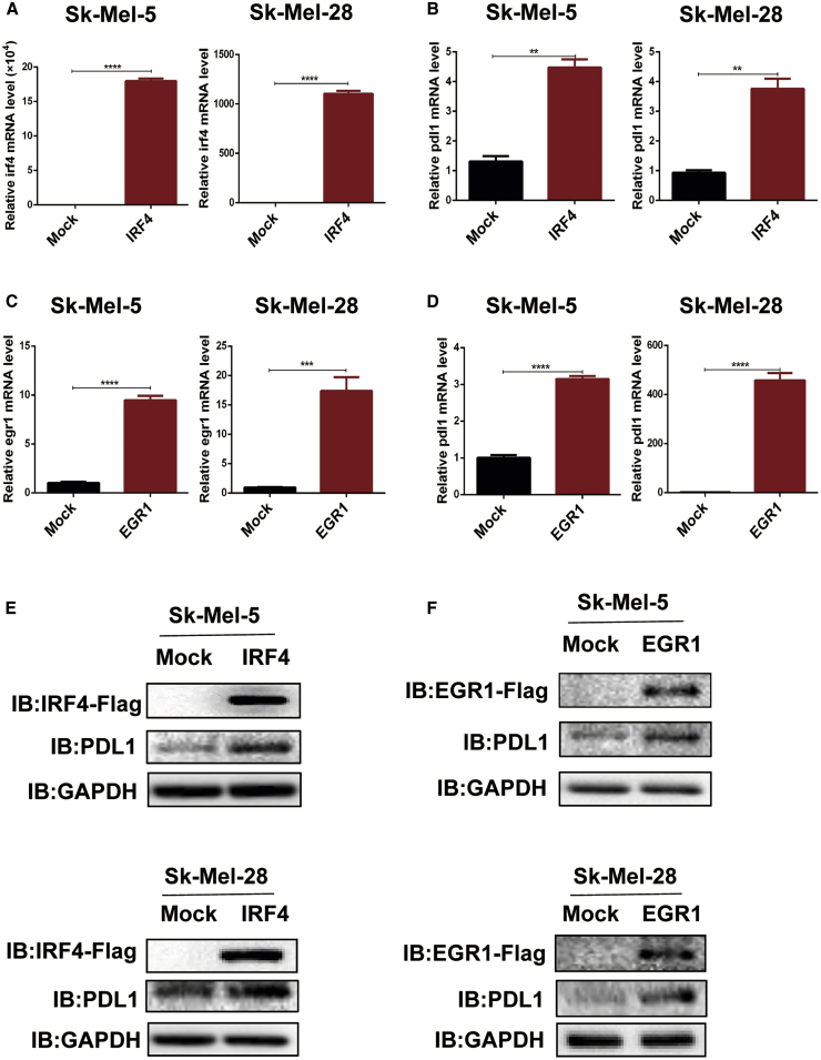 Figure 4