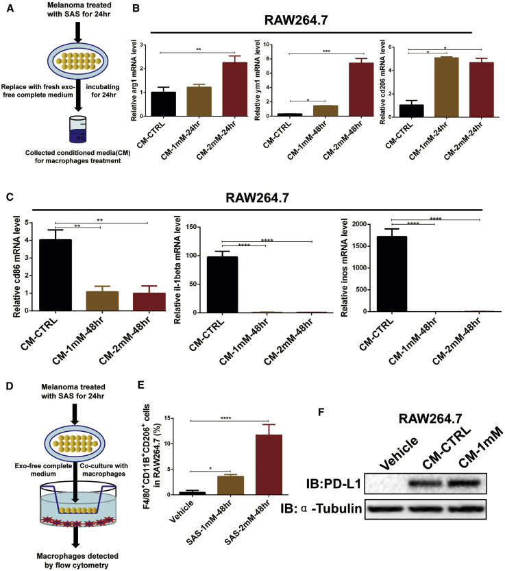 Figure 6