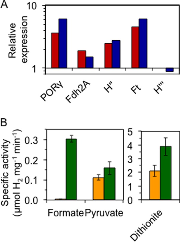 FIGURE 3.