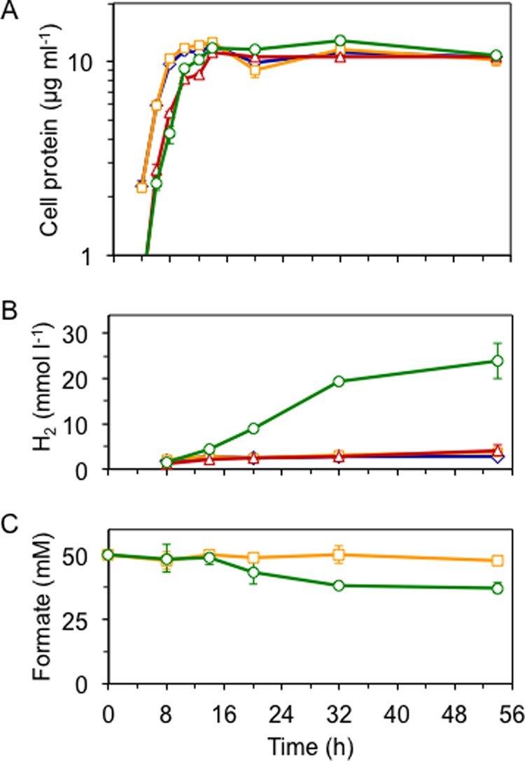 FIGURE 5.