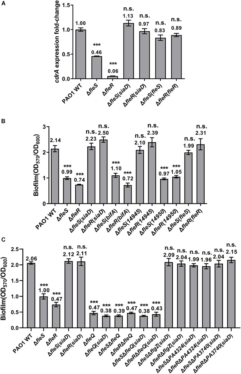 FIGURE 6