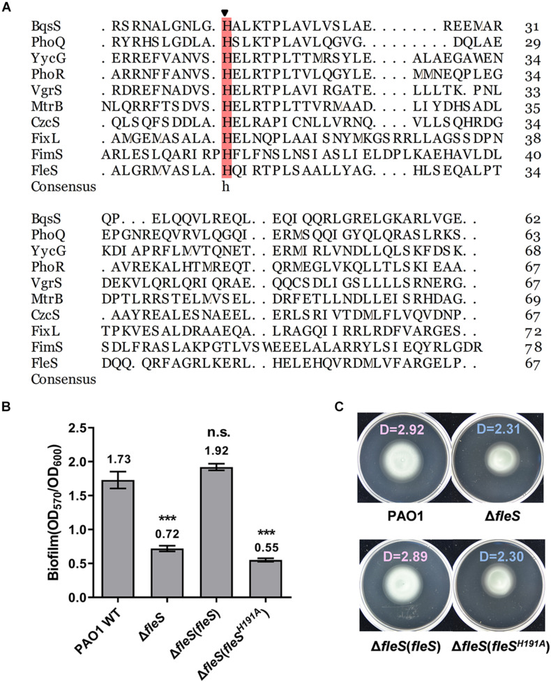 FIGURE 3