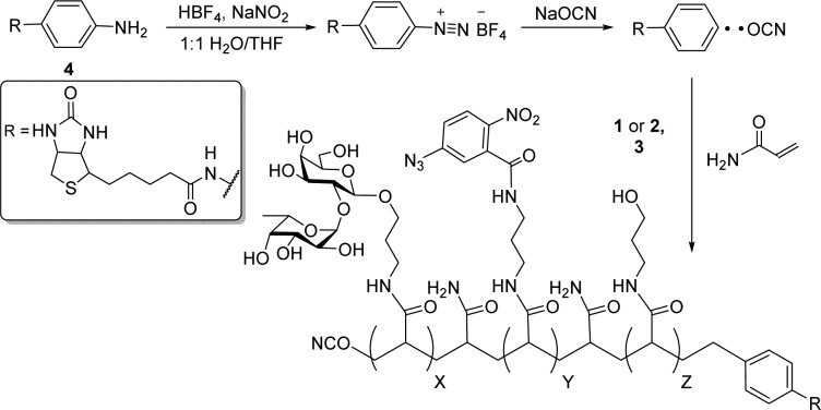 Scheme 1