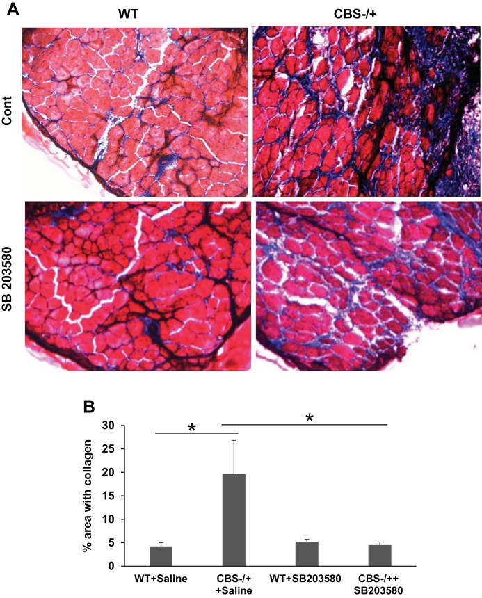 Fig. 9.