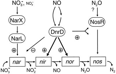 FIG. 8