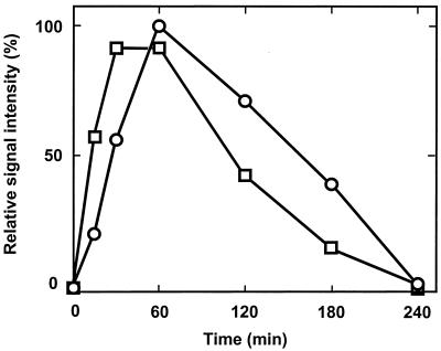 FIG. 6