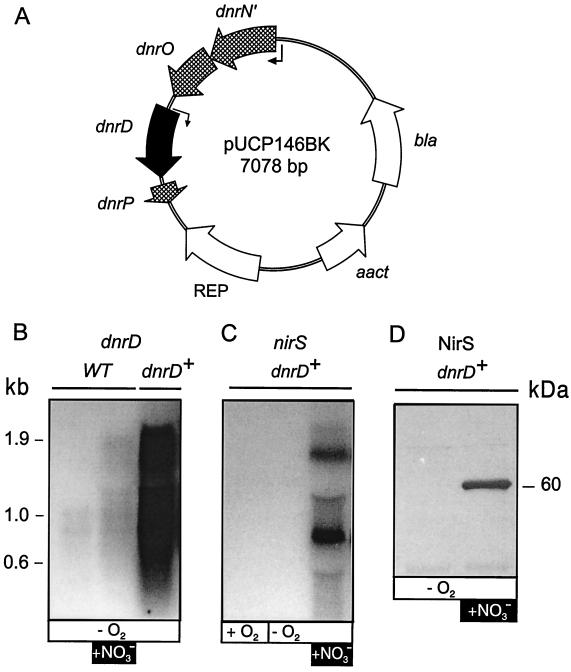 FIG. 7