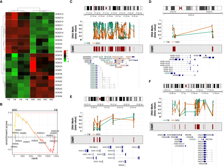 Figure 4