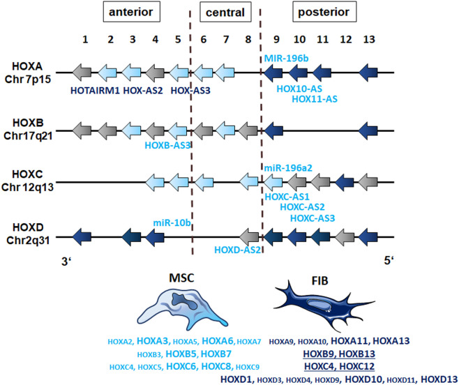 Figure 9