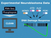Graphical Abstract