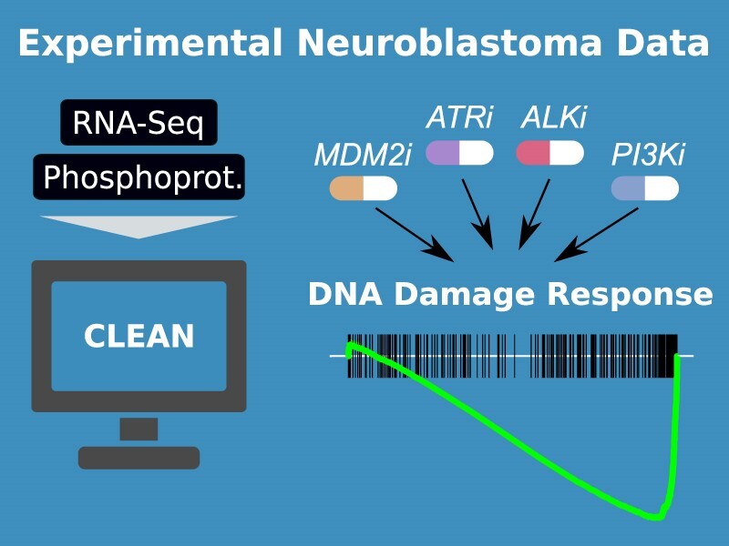 Graphical Abstract