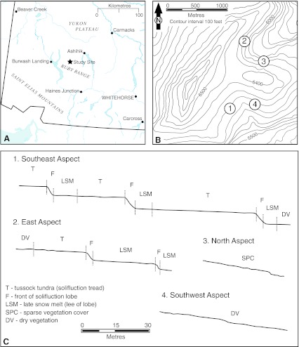 Fig. 1