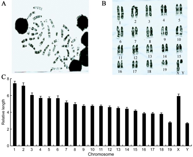 Figure 5.