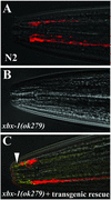 Figure 2.