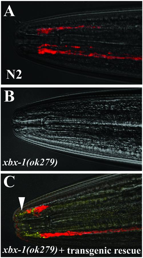 Figure 2.