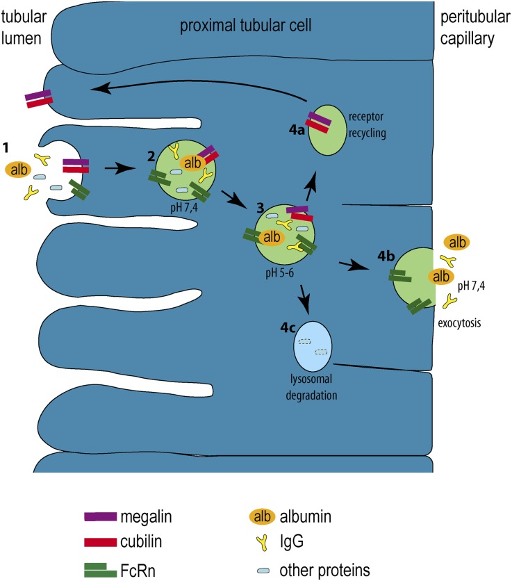 Figure 9.