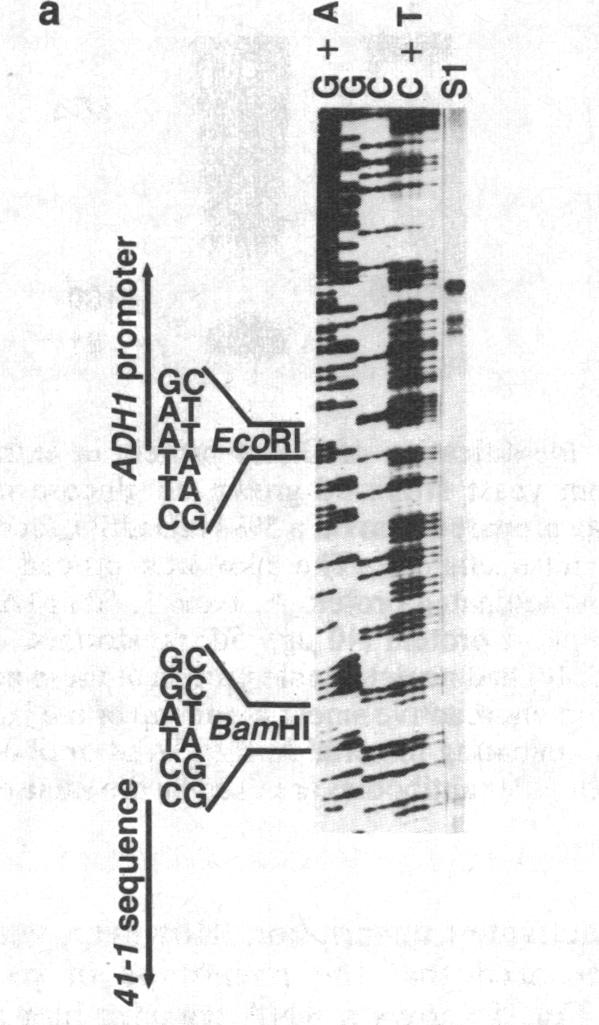 graphic file with name pnas00321-0331-a.jpg