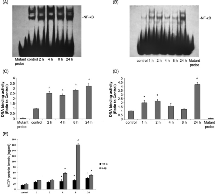 FIGURE 2