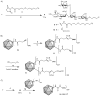 Scheme 3