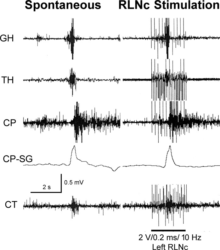 Fig. 8.