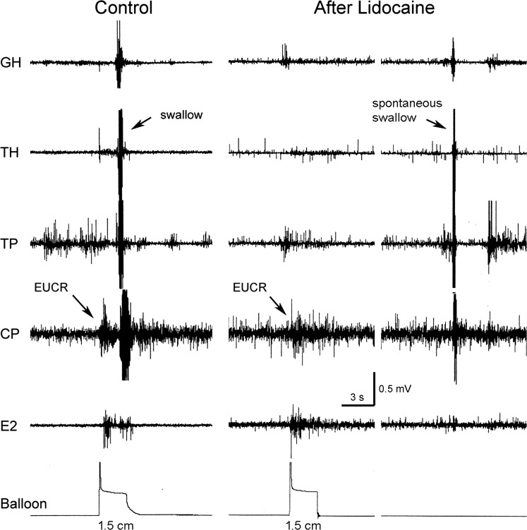 Fig. 9.