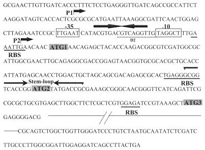 FIG. 1