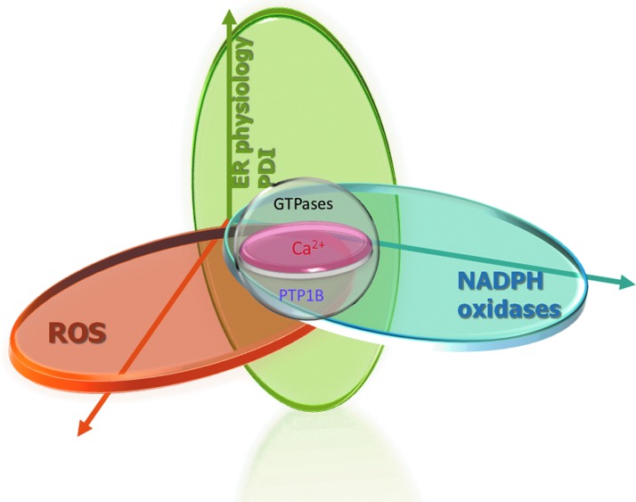 FIG. 2.