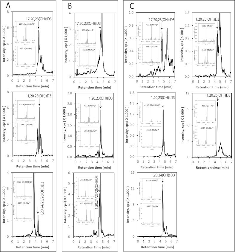 Figure 5