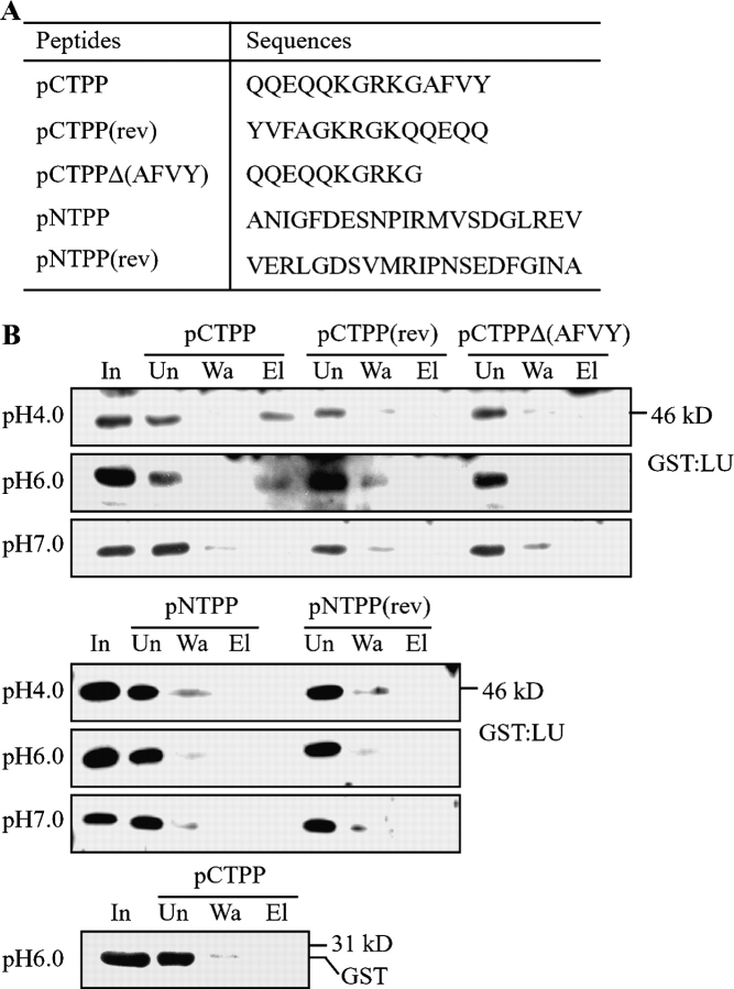 Figure 9.