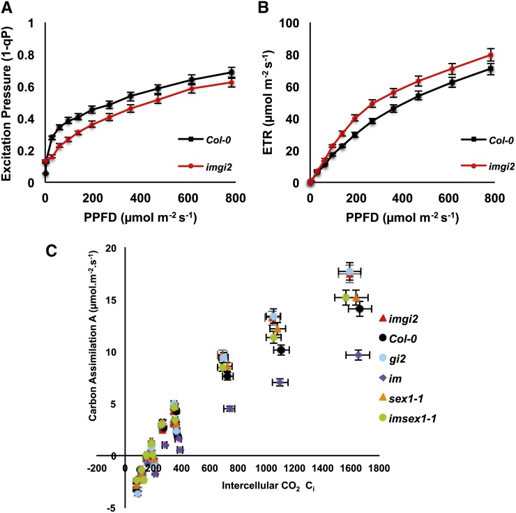 Figure 10.