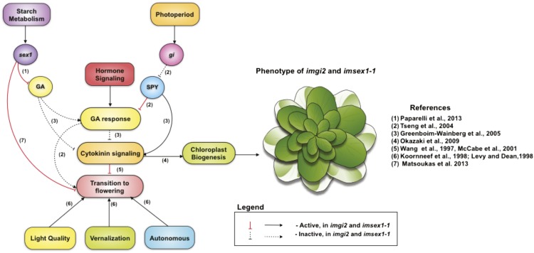 Figure 5.